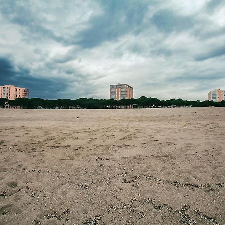 Studio Les Pieds Dans L'Eau Argeles Sur Mer מראה חיצוני תמונה