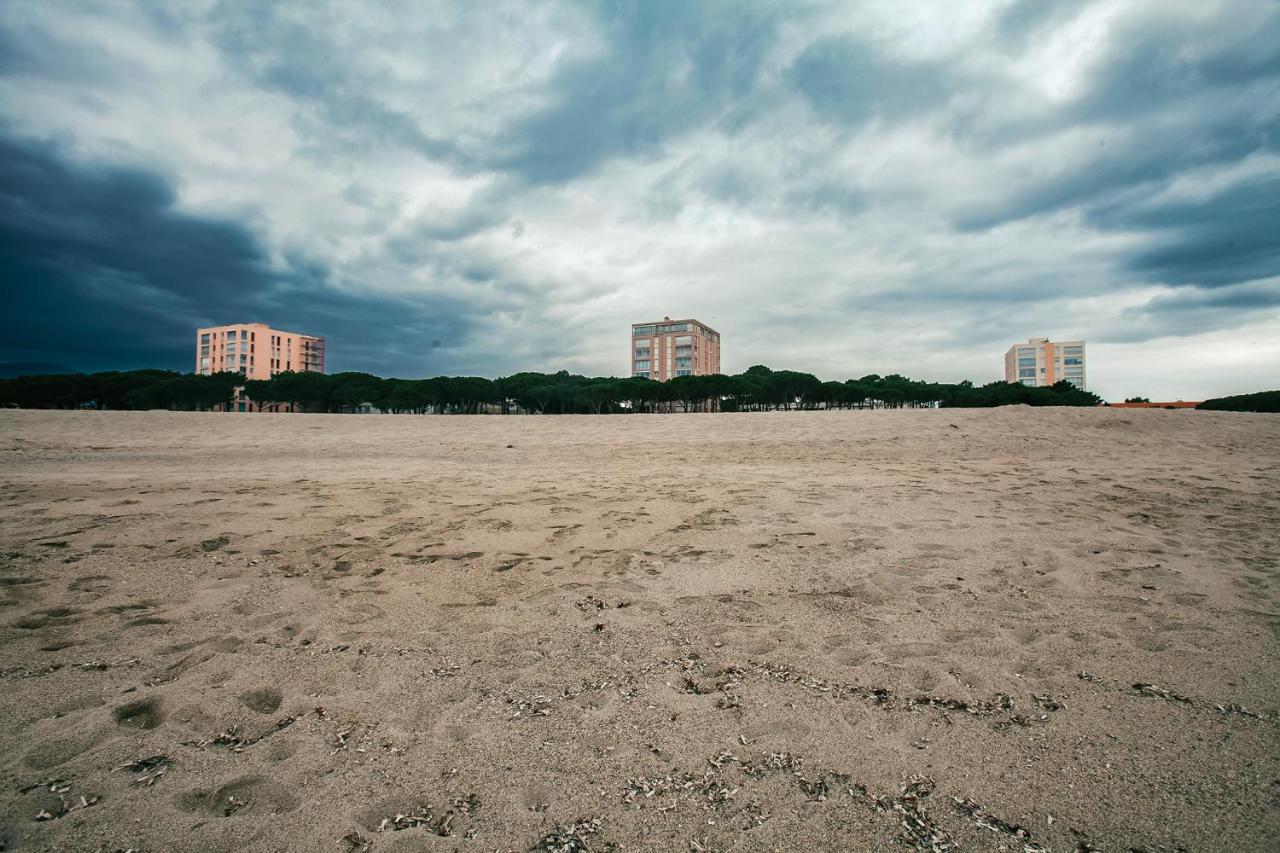 Studio Les Pieds Dans L'Eau Argeles Sur Mer מראה חיצוני תמונה