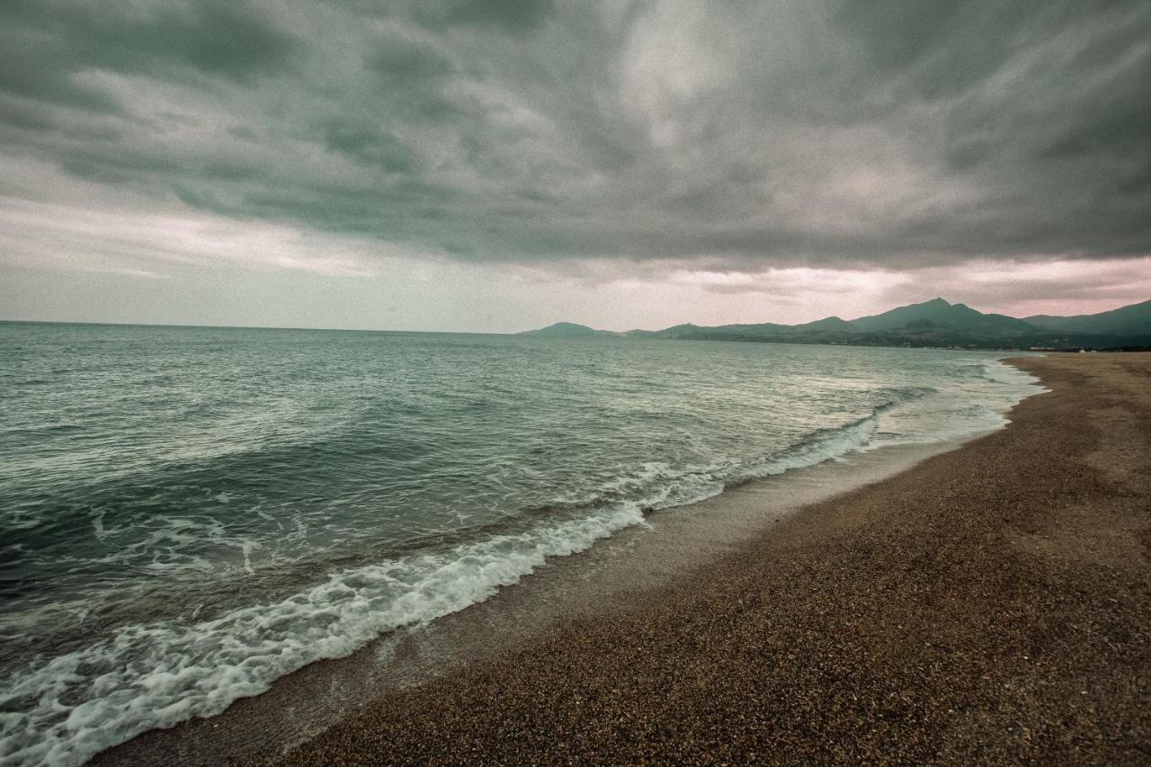 Studio Les Pieds Dans L'Eau Argeles Sur Mer מראה חיצוני תמונה